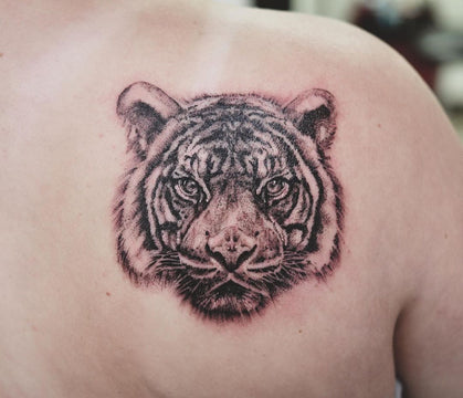 Realistic Tiger portrait Tattoo - Deanna Lee