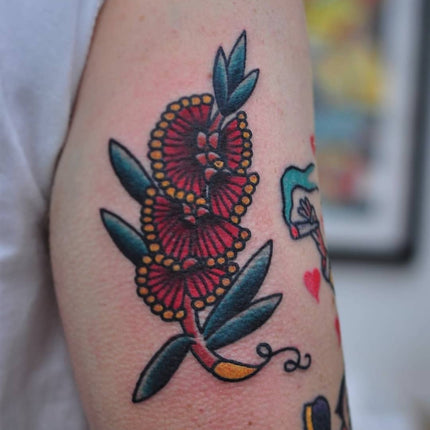 Flowering Eucalyptus By Mark Lording