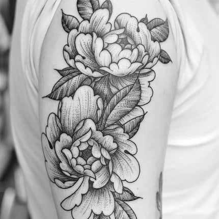 Two Peony Flowers by Chris Jones