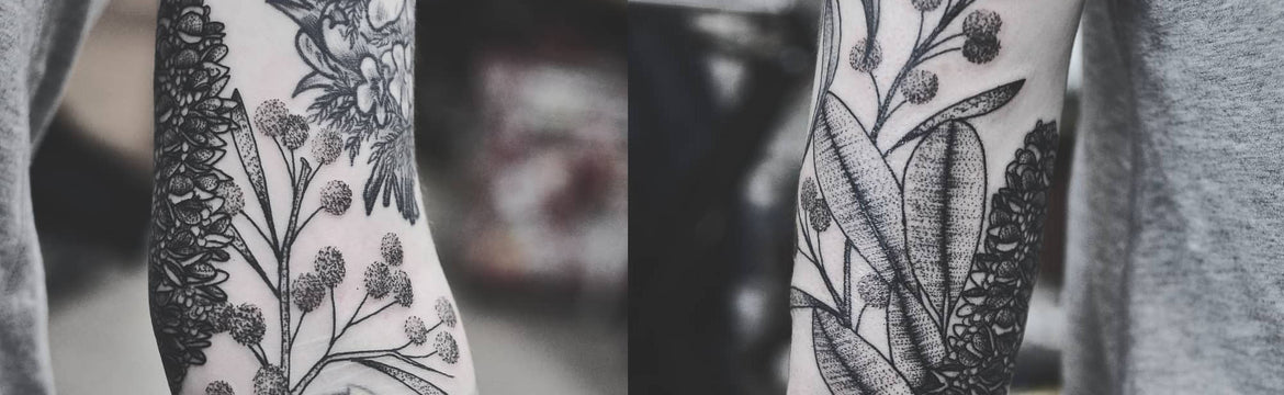 Wattle And Banksia Tattoo
