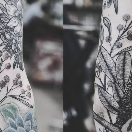 Wattle And Banksia Tattoo