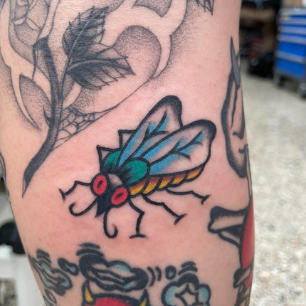 Gap Filler Fly Tattoo by Jimmy Lachmund