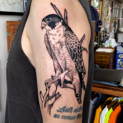 Black and Grey Falcon upper arm Tattoo - Deanna Lee
