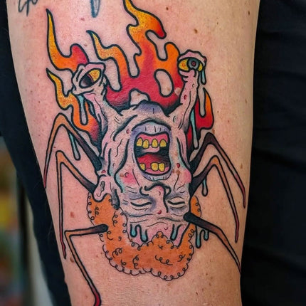 Noris Spider - Kane Berry