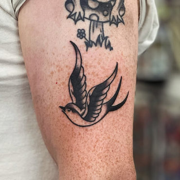 Black Tradtional Swallow by Lewis Hussey