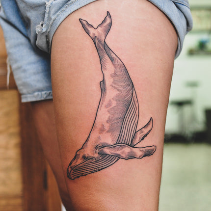 Etching Style Humpback Whale Tattoo - Wade Johnston