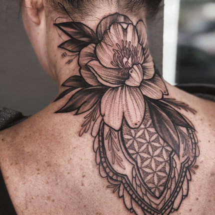 Olivia Mills Guest Spot From June 13th