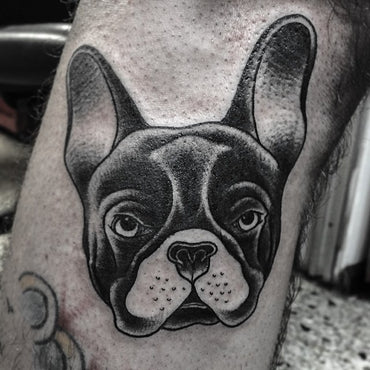 Blackwork Boston Terrier