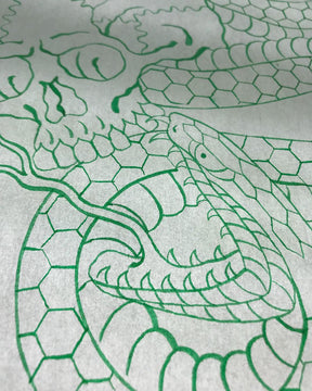 Snake Drawing Details