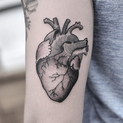 Fine Line Anatomical Heart Tattoo - Pablo Morte