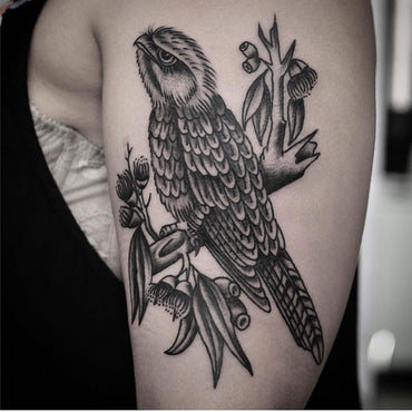 Tawny Frogmouth Tattoo By Australiana Master Mark Lording