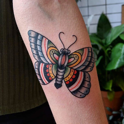 Traditional Butterfly Tattoo By Kane Berry