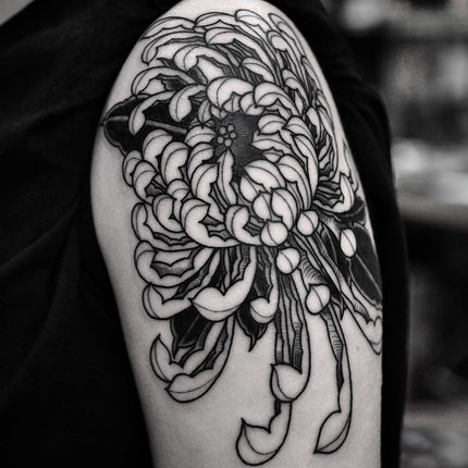 Fine Line Black Work Chrysanthemum Tattoo - Wade Johnston