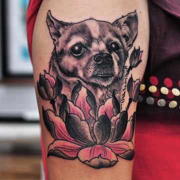 Pet Portrait Tattoo of chihuahua By Pablo Morte