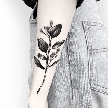 Eucalyptus Branch Australiana Tattoo By Deanna Lee