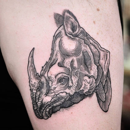 Albrecht Dürer's Rhino Etching Tattoo - Wade Johnston