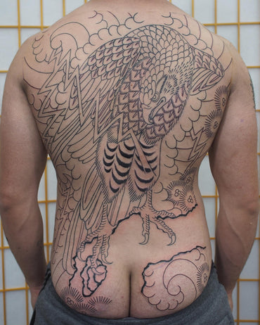 Japanese Hawk Tattoo - Full Back Outline