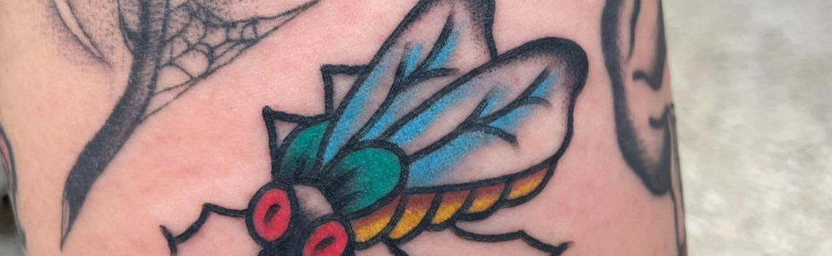 Gap Filler Fly Tattoo by Jimmy Lachmund