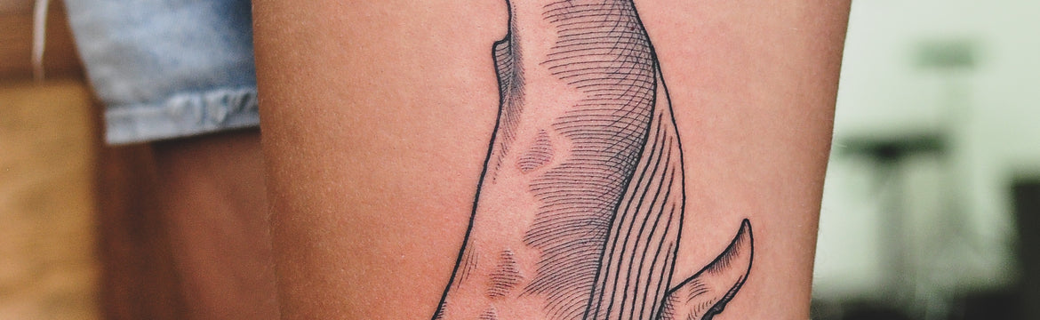 Etching Style Humpback Whale Tattoo - Wade Johnston