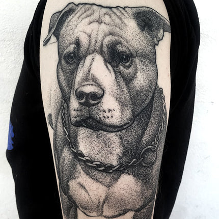 Dotwork Pitbull Portrait Tattoo - Adrian Dominic