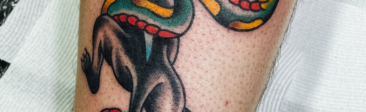 Trad Panther and Snake Tattoo by Jimmy Lachmund