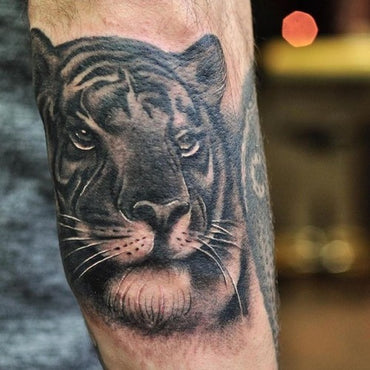 Realistic Tiger